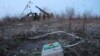 Ukraine -- Volunteer unit “Stepovy vovky”, Zaporyzhzhya region