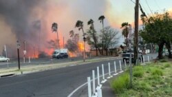 Катастрофические пожары на Гавайях