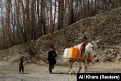 'When the roads are blocked, of course there is no means of transportation. People even use donkeys to move patients to the clinics, but sometimes there is not even the opportunity for that," said Mohammad Ashraf Niazi, the head of the UNHCR's Bamiyan office.
