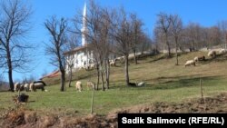 Stanovnici u Cerskoj se bave poljoprivredom i uzgajanjem ovaca.