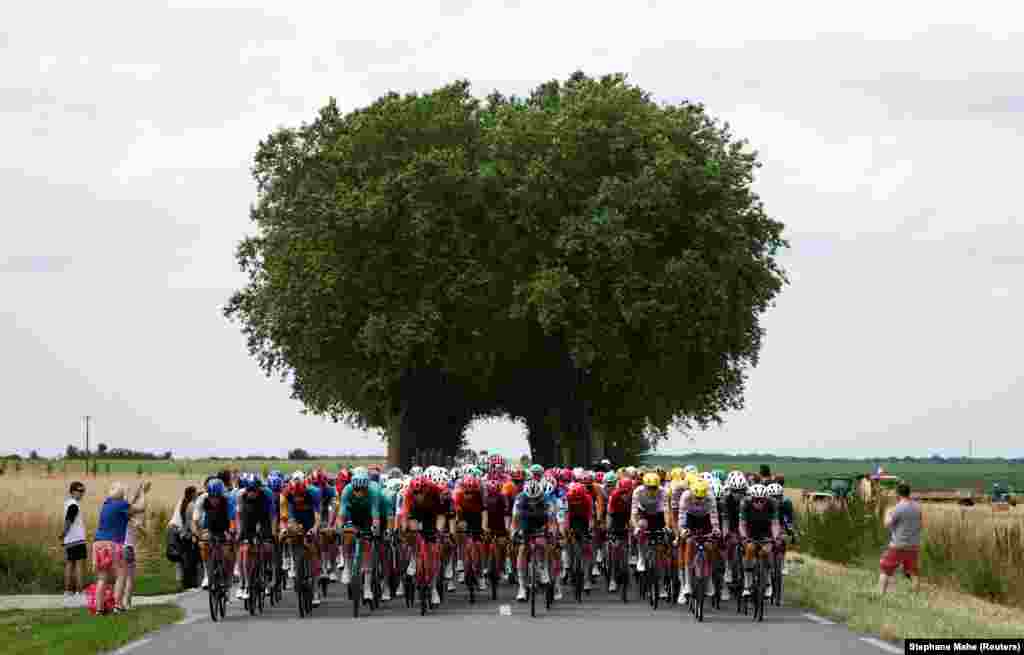 Pamje e përgjithshme e çiklistëve gjatë garimit në njërën nga 21 fazat&nbsp; e Tour de France.