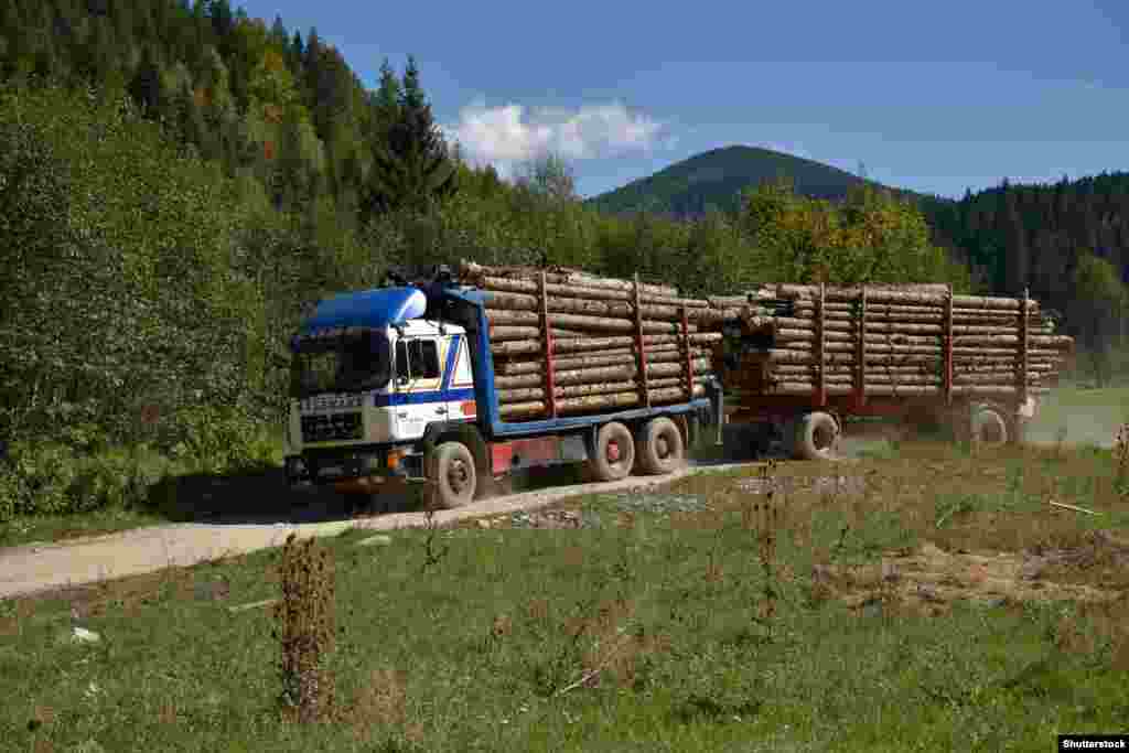 Fotografija kamiona koji prevozi drva šumskim putem u blizini Fojnice, u srednjoj Bosni, 2019. Bosnai Hercegovina je jedna od europskih država veoma bogata drvetom. Oko 42 posto njezine kopnene površine je pod šumom. Prema riječima Ognjenke Lalović, službenice Vanjskotrgovinske komore BiH, drvna industrija u ukupnom izvozu iz BiH sudjeluje s 10 do 15 posto.