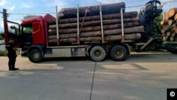 Un camion oprit de polițiști pentru că transporta lemne ilegal. Astfel de transporturi au loc frecvent în Bucovina. 