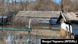 Тобыл өзені жағалауы маңында су алған үйлер. Қостанай қаласы, 10 сәуір, 2024 жыл.