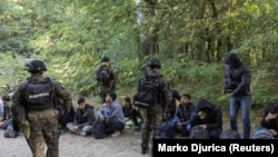 Žandarmerija kontroliše migrante kod Subotice, na granici sa Mađarskom, septembar 2023.