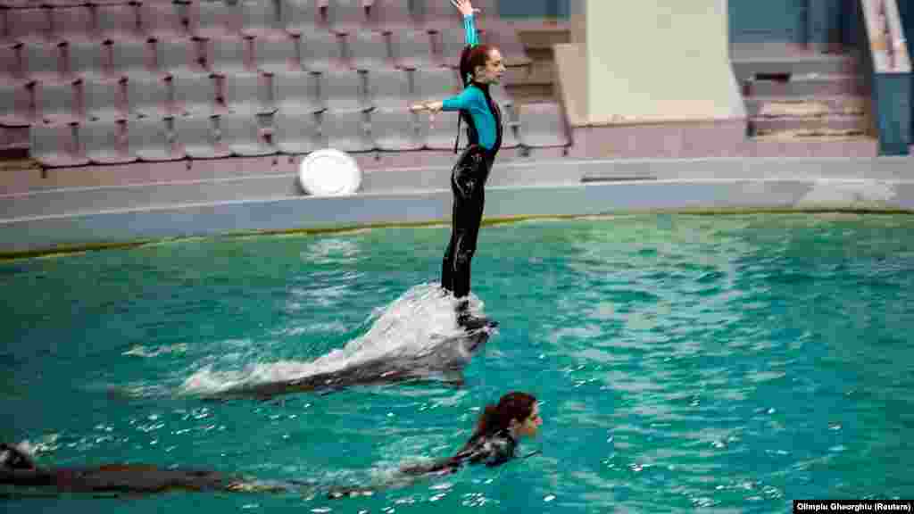 Uprkos početnim jezičkim barijerama, rumunski i ukrajinski treneri našli su zajednički jezik u ljubavi prema delfinima. &bdquo;Odlično se slažemo, govorimo istim &rsquo;jezikom&lsquo;. To je nešto najbolje što može da se desi našim delfinima&ldquo;, rekao je jedan od trenera. &nbsp;