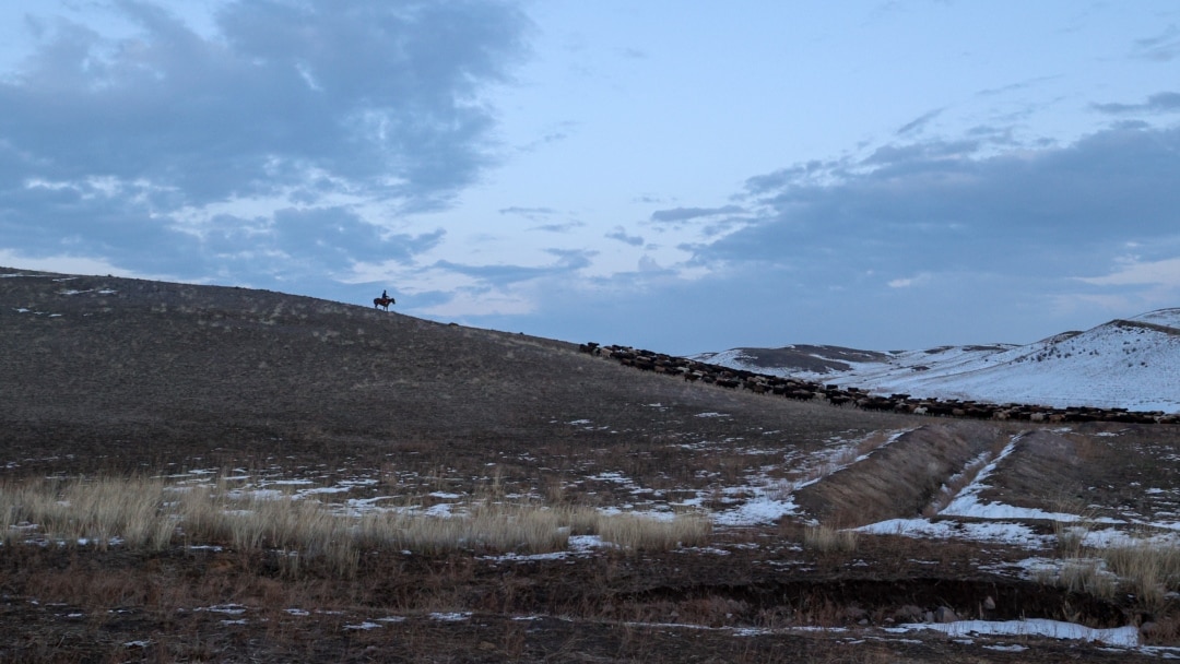 Яхтада қожайынмен жыныстық қатынас