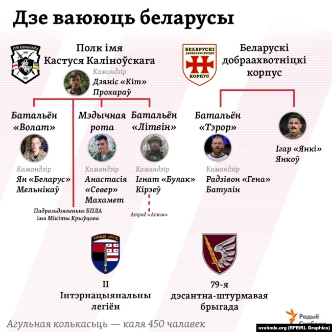 Infografica sui volontari bielorussi in Ucraina