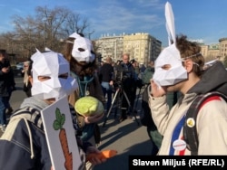 Të rinjtë, me maska lepuri dhe lakra, jashtë ndërtesës së Kuvendit në Beograd.