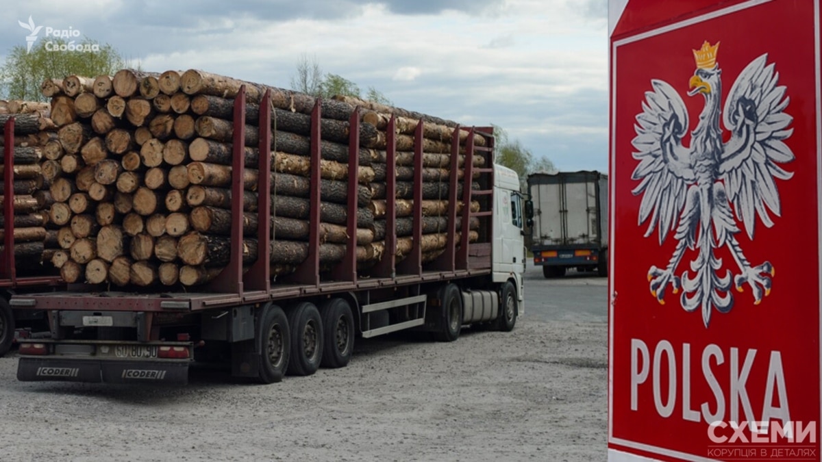 Польські митники пропускають у ЄС підсанкційну деревину з Білорусі за сфальшованими документами
