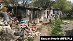 Romska zajednica, jedna je od 23 manjinske grupe, ima svoj nacionalni savet. (Foto: Romsko naselje na Novom Beogradu bez pristupa vodi i kanalizaciji.)