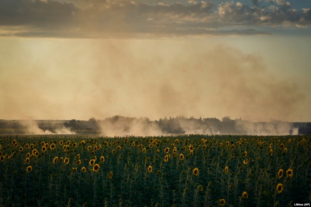 Tymi ngrihet mbi një plantacion të mbjellë me luledielli në vijën e frontit në rajonin e Donjeckut në Ukrainën lindore.