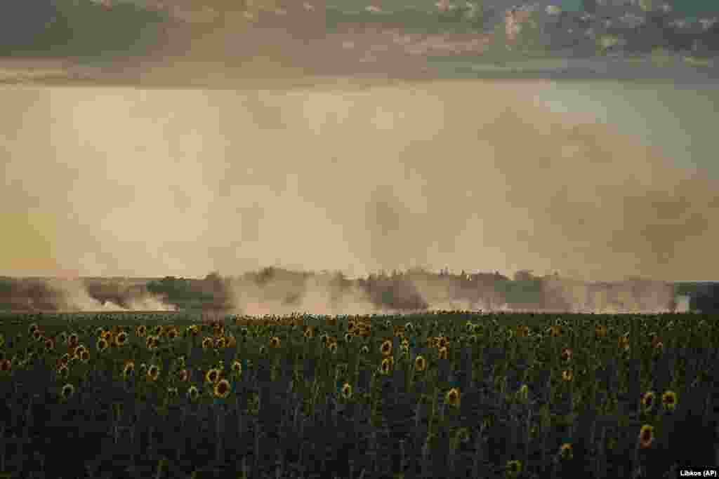 Smoke rises over a sunflower field on the front line on August 9.