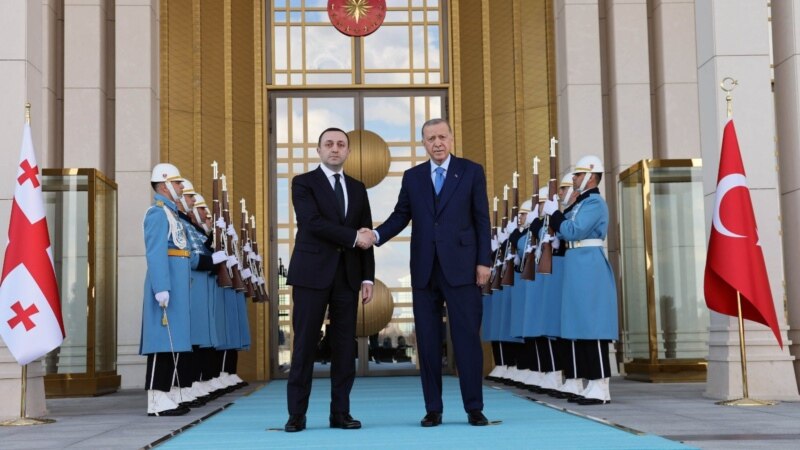 Премьер Грузии Гарибашвили встретился с президентом Турции Эрдоганом
