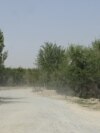 د کندهار له ښاره یوې ولسوالۍ ته غځېدلی سړک