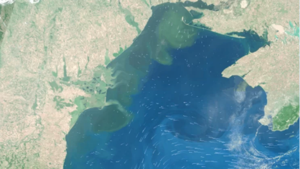 Черно море е чисто и в него няма повишени норми