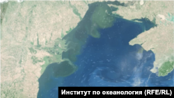 Последните сателитни снимки показват, че замърсяването се спуска по крайбрежието, но още не е достигнало България