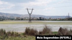 "გლდანის ტბა"