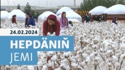 HJ: HZG Aşgabady pagta ýygymyndaky mejbury zähmeti ýok etmäge çagyrýar