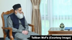 عبیدالرحمن نظامانی، شارژدافیر سفارت پاکستان در کابل