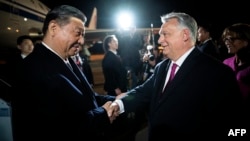 Chinese President Xi Jinping (L) is greeted by Hungarian Prime Minister Viktor Orban as he arrives Budapest on May 8.