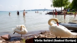 Turisták, fürdőzők Balatonfüreden, a Kisfaludy strandon