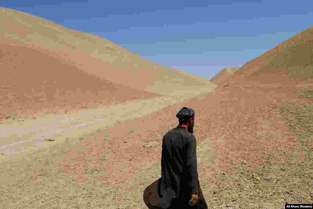 An Afghan man walks in a drought-hit wheat field in the Nahr-e-Shahi district of Balkh Province.&nbsp;