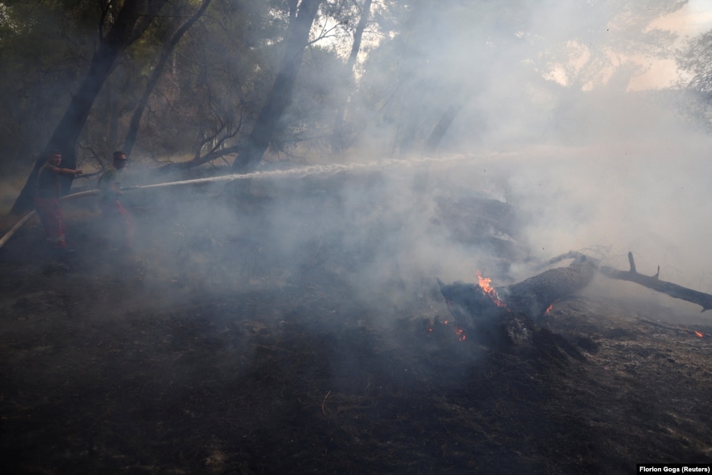 Tymi shihet në pyll gjatë ballafaqimit të zjarrfikësve me zjarret afër Cakranit.