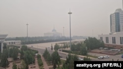 Астана шетіндегі ағаш өртеніп, қаланы түтін басқан. 19 маусым 2023 жыл.