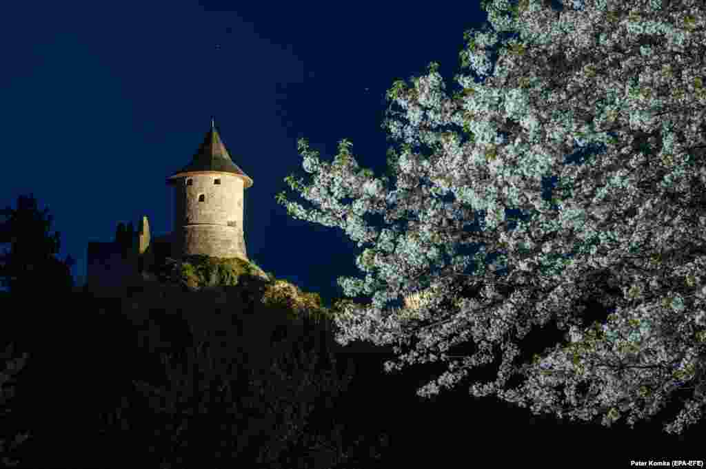 A photo taken using a slow shutter speed shows a cherry tree in bloom in the foreground of Somosko Castle in Salgotarjan, northern Hungary.