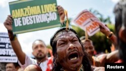 Shkencëtarët kanë paralajmëruar se shkatërrimi i Amazonës po shkon drejt pikës kritike.
