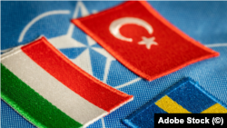 Թուրքիայի, Հունգարիայի և Շվեդիայի դրոշները և ՆԱՏՕ-ի խորհրդանշանը: 