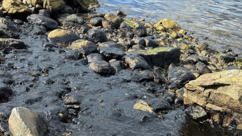Разлив нефтепродуктов произошел в районе Кольского залива