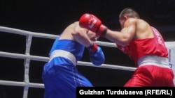 Illýustrasiýa suraty