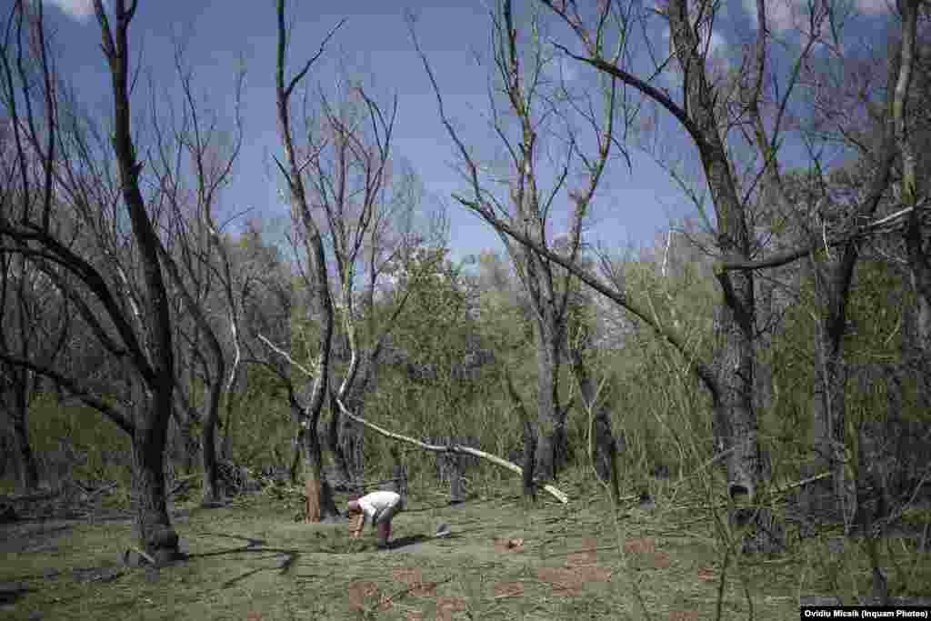 A man investigates a crater in the middle of a charred patch of trees near the border with Ukraine in Romania&rsquo;s Tulcea County on September 7.