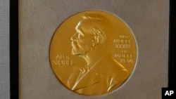 Nobel Prizes Explainer