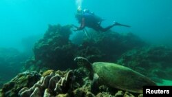 Greben u laguni Scarborough Shoal je jedna od najspornijih karakteristika u eskalirajućoj teritorijalnoj zavadi američkog saveznika, Filipina sa Kinom (foto: Instruktorka ronjenja skuplja plastični otpad pored morske kornjače, provincija Batanagas, Filipini, septembar 2021.)