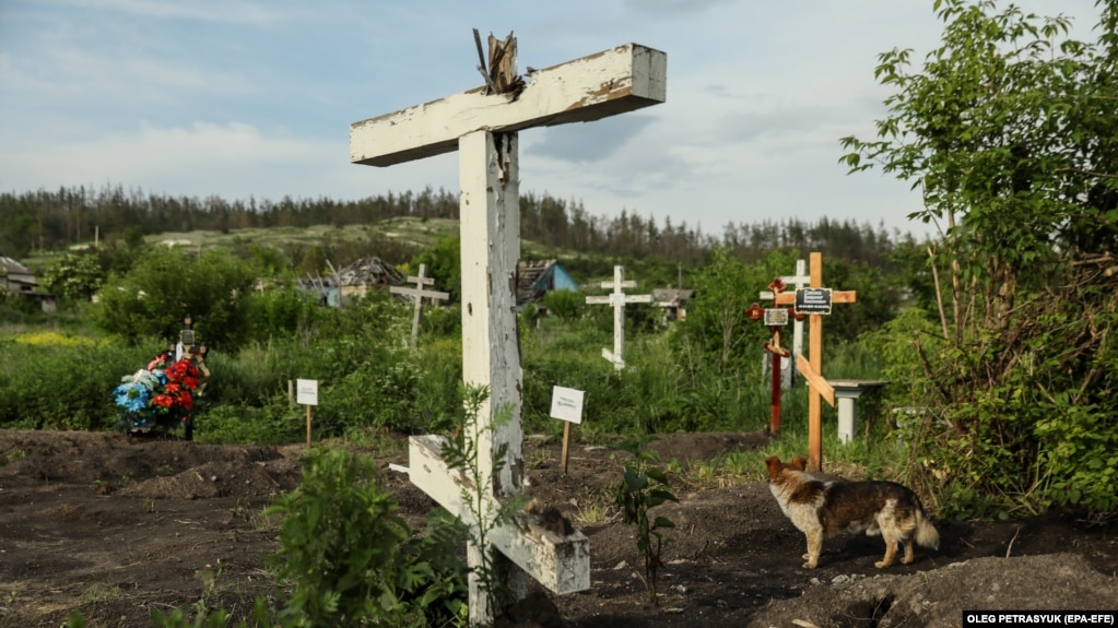 Qeni i Mykolas, Putin -- një emër që ia vunë ushtarët ukrainas me arsyetimin &quot;sepse ai është i keq, dhe përpiqet t&#39;i kafshojë të gjithë&quot; -- e pret atë pranë një kryqi të thyer në varrezat e fshatit. &nbsp;