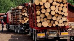 Camion cu un transport ilegal de lemn indisponibilizat la Putna, la finele lunii iulie.