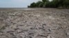 Pești morți pe fundul drenat al lacului de acumulare Kahovka după distrugerea barajului Nova Kahovka. Satul Marianske, regiunea Dnipropetrovsk, Ucraina, 7 iunie 2023. 