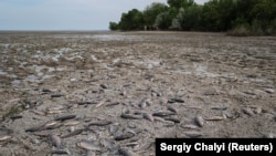 Isušeno jezero u blizini sela Marijanske, 7. jun