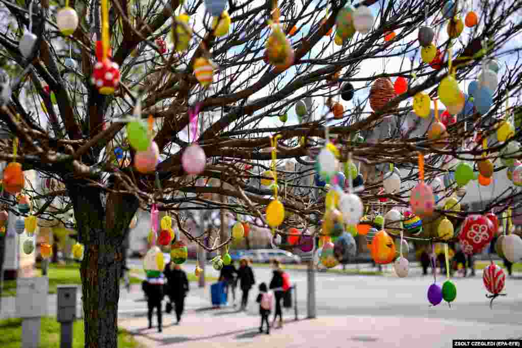 Ouă de Paște colorate prinse într-un copac din orașul balnear Hajduszoboszlo, în nord-estul Ungariei.