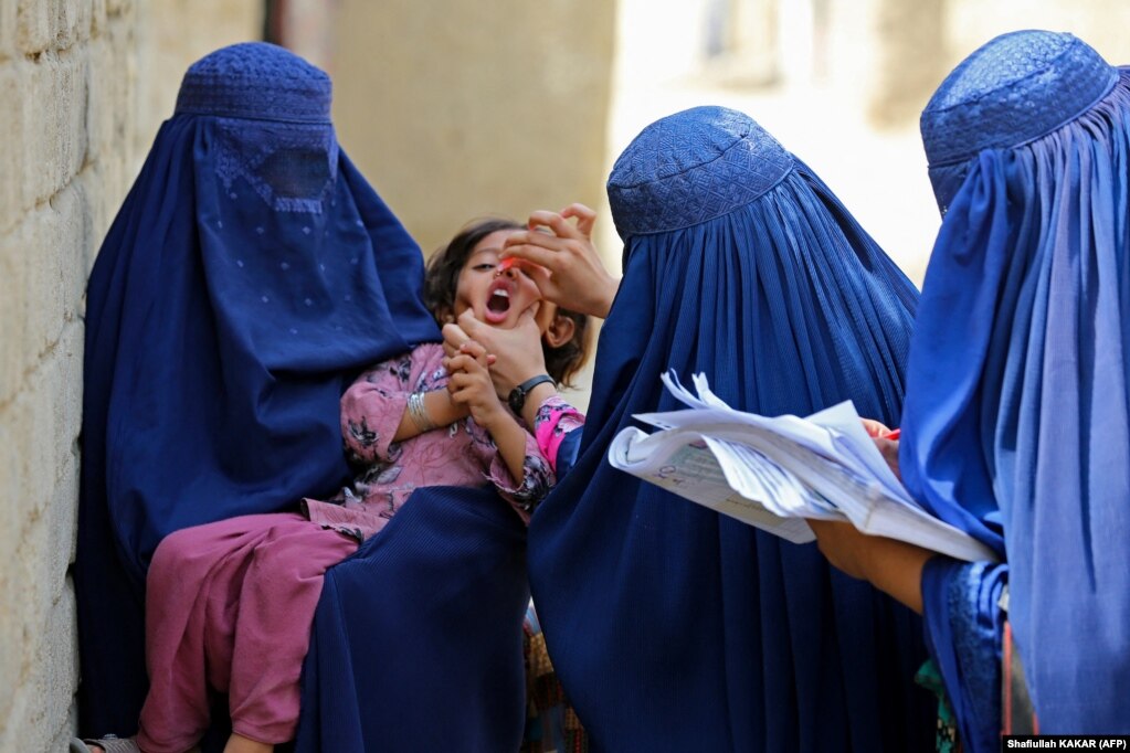 Punonjëset afgane të shëndetësisë duke vaksinuar një fëmijë kundër poliomielitit në Xhalalabad.
