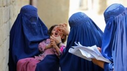 د پولیو واکسین یوه څنډه - ارشیف 