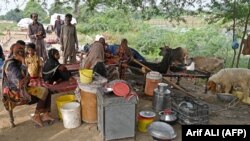 له سېلاب ځپلو سیمو څخه امن ځایونو ته د لېږدول شوې یوې پاکستانۍ کورنۍ غړي.