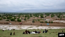 سیلاب‌های اخیر ۲۴ ولایت افغانستان را تحت تأثیر قرار داده و سبب از بین رفتن حاصلات زراعتی در برخی مناطق شده است.
