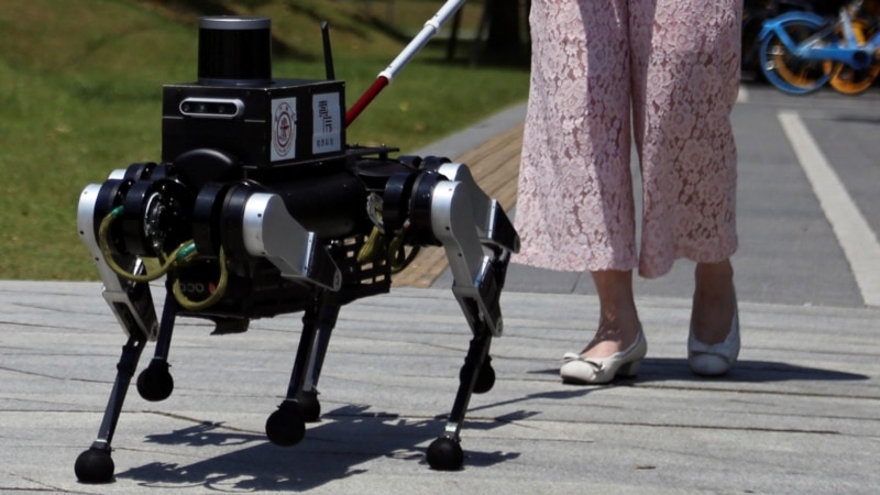 ربات شش پا، جایگزین سگ‌های راهنما شده می‌تواند؟