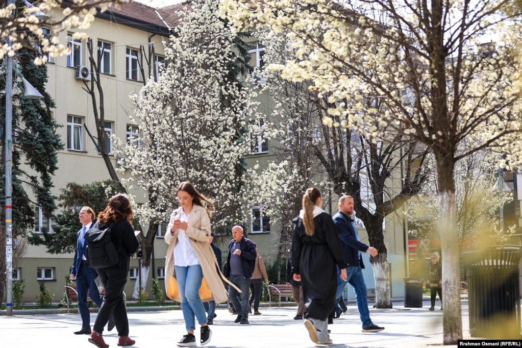 Pemët në sheshin kryesor në Prishtinë, Kosovë, kanë nisur të lulëzojnë këtë fillimpranverë.