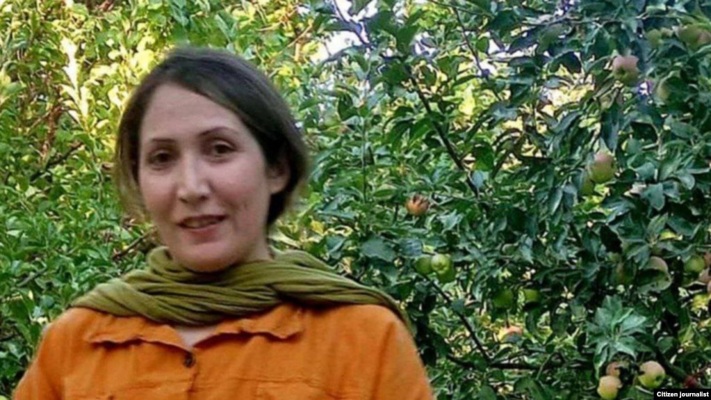 شریفه محمدی، فعال کارگری