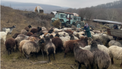 Stâna cu panouri fotovoltaice